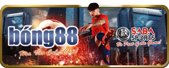 Giấy phép hoạt động cá cược quốc tế của FE88